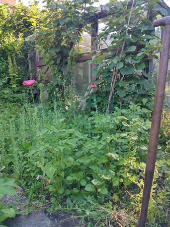 Medium property photo - Valentijnkade 119, 1095 JL Amsterdam